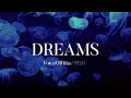 Dreams - A VoiceOfRitu - Rish Original | Music For Your Soul