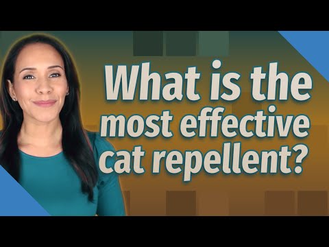 What is the most effective cat repellent?