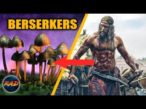 Viking Berserkers | Drugs Vikings Took To Go Berserk