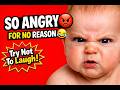 Angry Babies Make It Hard To Not Laugh Funny Baby Videos