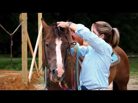 Beth Hines | Equestrian Promo Video