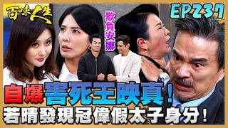 百味人生 EP237 完整版｜秦佩芬自爆害死王映真！顧崇烈失控掐脖要報仇！世茵真心悔改向世堂道歉！冠偉假太子身分已被若晴發現！｜Bittersweet Destiny｜【莊廣和堂轉大人萃滴精】