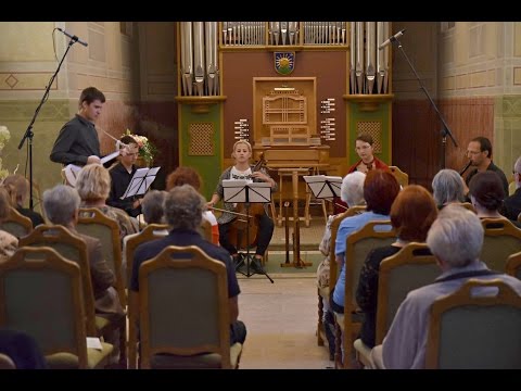 Musica per gaudium - Musica per gaudium: Alle stamenge donne