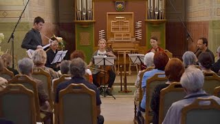 Video Musica per gaudium: Alle stamenge donne