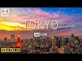 東京ビデオ 8K HDR 60fps ドルビービジョン、ソフトピアノ音楽付き