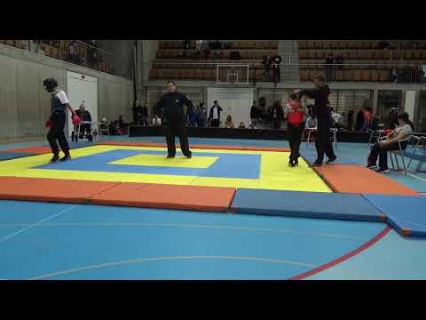 Swiss Wushu Championships 2019 - Sanda/Qingda Competition Part 5