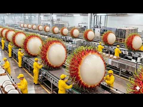 How Rambutan Is Processed in a Modern Factory You've Never Seen Before (Full Process)
