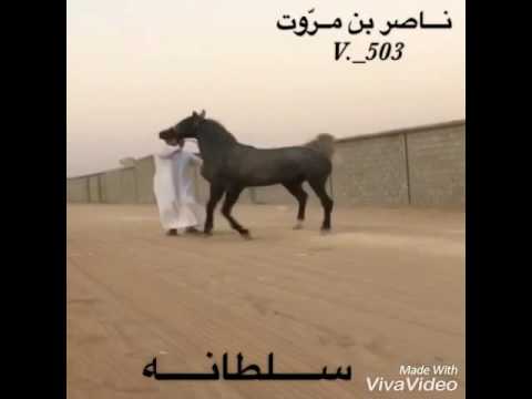 المهره سلطانه