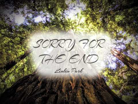 Sorry For The End - Linkin Park mashup
