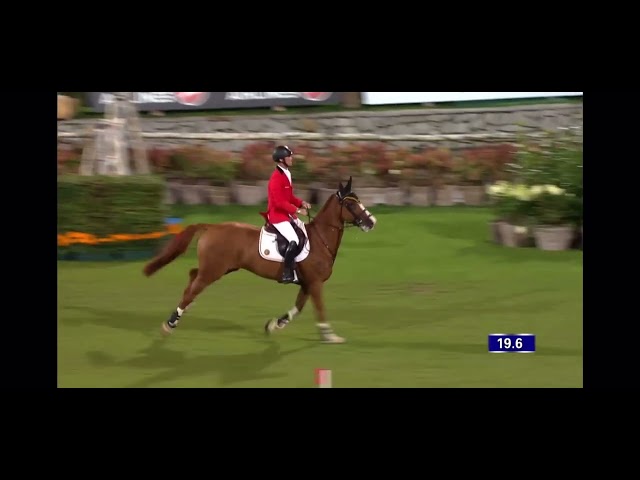 Grandmotheris CSI 1.70m jumping mare Ilusionata van't Meulenhof with rider Niels Bruynseels.