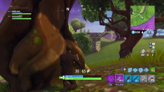 Fortnite 　放送中にドン勝つを！　初見さん大歓迎！