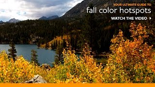 Where to Go for Fall Color Viewing in Eastern Sierra