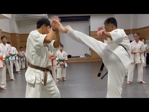 華麗に‼️極真前蹴り～三日月蹴り＆回し蹴りで倒す#極真空手 #kyokushin #空手 #空手女子