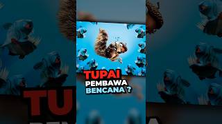 Download lagu The Most Anomalous Squirrel in the Ice Age Movies 😹 mp3