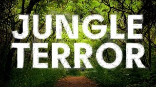 Download lagu JUNGLE TERROR MIX mp3 Download lagu JUNGLE TERROR MIX mp3