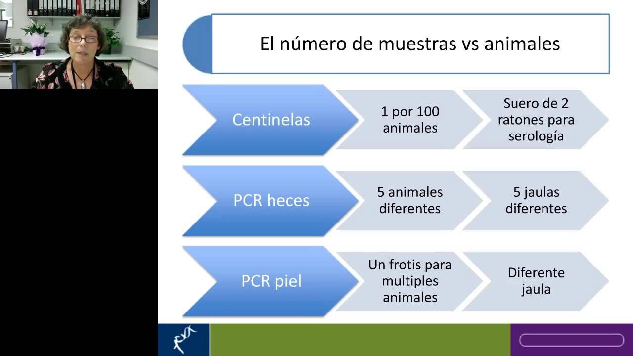 Designing a health monitoring programme for laboratory mice