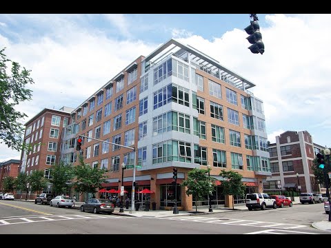 700 Harrison #315 Spring 2020