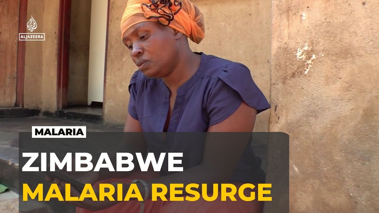 Zimbabwe’s malaria fight falters: rising cases hit mining communities hardest