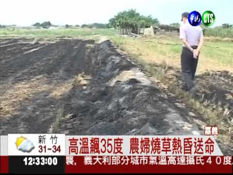 稻田燒雜草 農婦熱昏葬身田裡