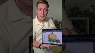 Top 5 Pokémon que me comería. Lo he grabado con hambre #pokemon #clips #memes