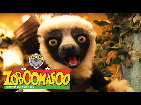 🐒 Zoboomafoo 🐒 111 | Fierce Creatures - Full Episode | Kids TV Shows