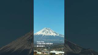 日本帰省時の春の花巡り。梅と桜そして富士山。