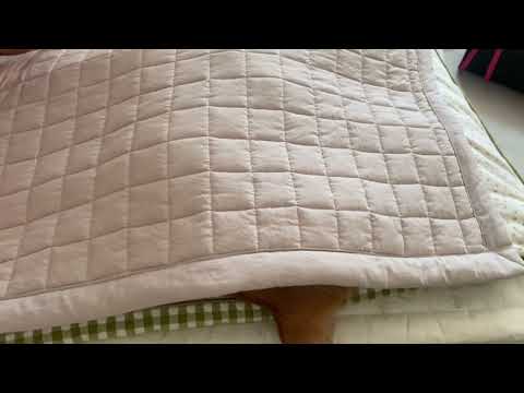 거기서 뭐하묘 (냥생활침해주의)