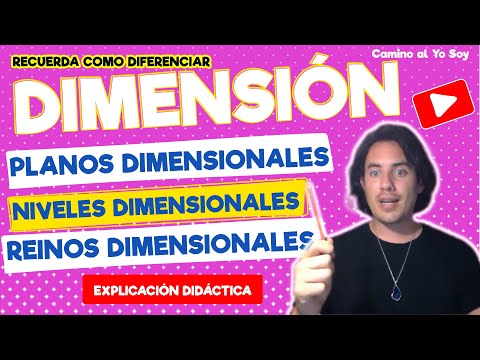 The Dimensions: An Exploration from Different Perspectives | Matias De Stefano