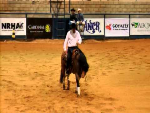 Gunner Dun it Again - Super Stakes ANCR 2014