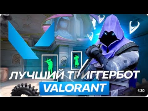 🔥ЛУЧШИЙ ТРИГГЕР БОТ ДЛЯ VALORANT? ОБЗОР + РАЗБОР!🔥'