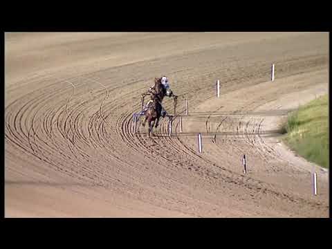 Trotto 10/07/2020 - 4ª prova di qualifica