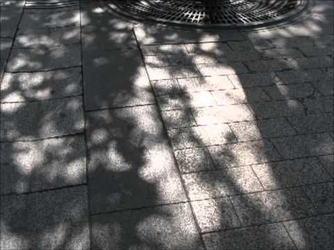 ALEXIS WEISSENBERG ( MR NOBODY ) plays TRENET'S VOUS QUI PASSEZ SANS ME VOIR