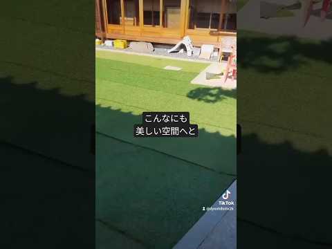 庭に自然な小川をうまく作り出すことができるかどうかは、あなた次第です。ちょっとした特典映像！  庭園