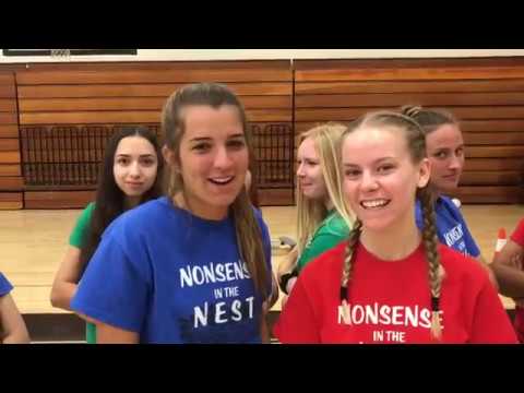 NONSENSE IN THE NEST 2018