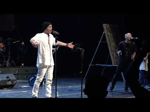 ROFA feat THE FINEST TREE, TOMO WIDAYAT - PERMATAKU - LIVE KONSER - FBS 2019