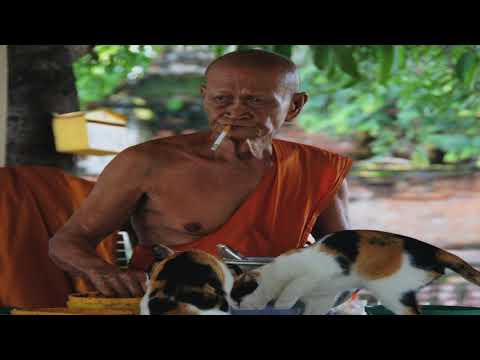 Enlightened & Immortal: The hidden & inevitable Buddhist ego