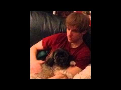 Your Song (Elton John) - Cover