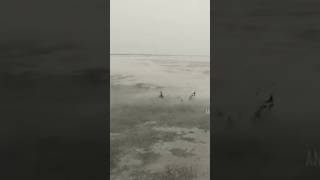 Download lagu LIHAT..‼️Pusat Semburan Lumpur Lapindo, Drone View.. #lapindo #lumpurlapindo mp3