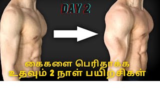 உங்கள் கைகளை பெரிதாக்க உதவும் இரண்டாம் நாள் பயிற்சிகள் @livemacauterkini8