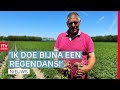 Frustratie bij aardappelboeren & geen excuses van de koning | Drenthe Nu