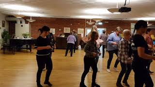 My little dog has puppies