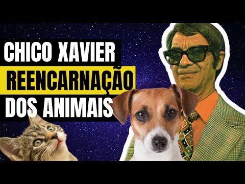 Message from Chico Xavier and the Reincarnation of Animals