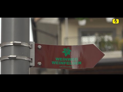 WEINWEG WEINFELDEN im TOP Fokus vom 07.08.2019