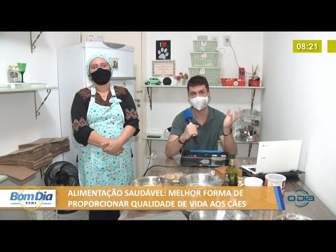 Alimentação saudável natural, forma de proporcionar qualidade de vida aos cães 16 07 2021