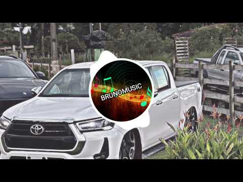 VITÓRIA FREITAS - NÃO FOI PELA HILUX