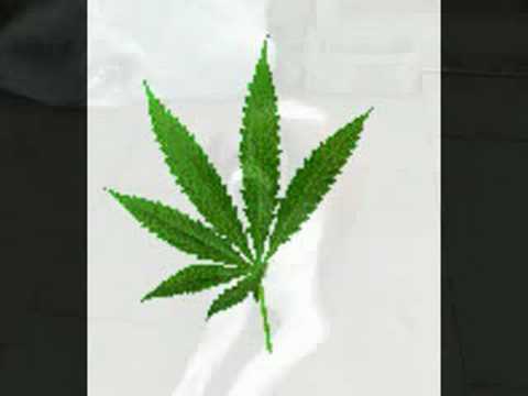 DJ EJ EJucation Vol 13