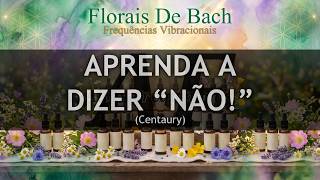 Centaury (Seja Assertivo) [Floral de Bach #04] | Canal: Altas Frequências