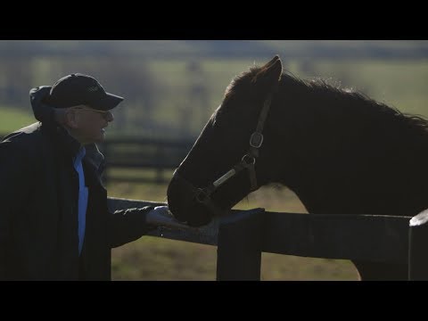 War Emblem Enjoys an Early Spring