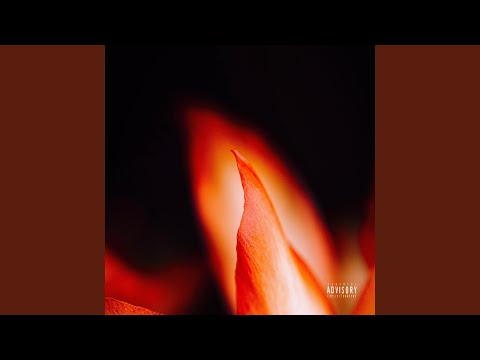 Non sei tu (feat. Shama24k) ((feat. Shama24k))