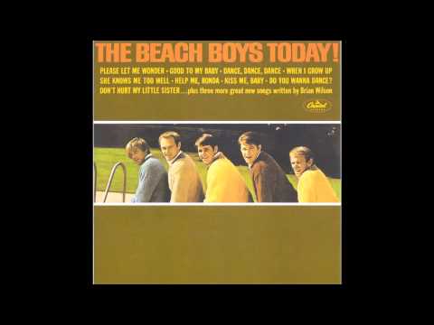 MUSIC BOX: 24 Fun Beach Boys Favorites